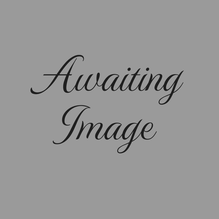 Awaiting Image